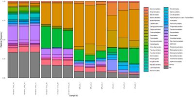 16S metabarcoding of the bacterial community of a poultry wastewater treatment plant in the Philippines